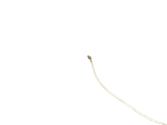 Vodič ETA 0179 01570 - Náhradný diel pre kávovary