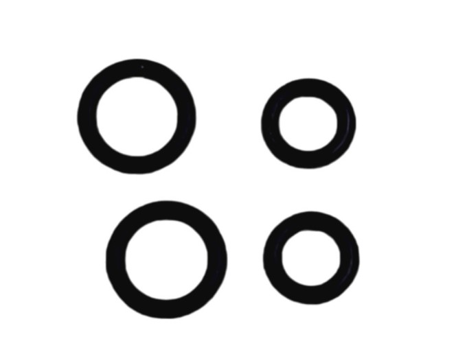 Sada tesniacich O krúžkov pre vysávač Eta Neptun