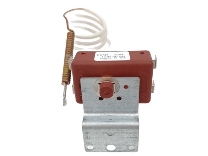 Tepelná poistka DZD DRAŽICE 1 / 99°C starší typ 81580007